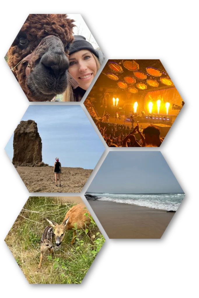 auch einfach ich Persönliche Fotocollage mit Natur-, Reise- und Konzertmomenten